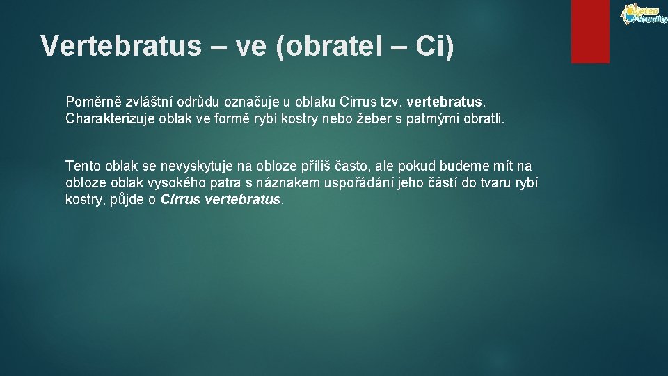 Vertebratus – ve (obratel – Ci) Poměrně zvláštní odrůdu označuje u oblaku Cirrus tzv.