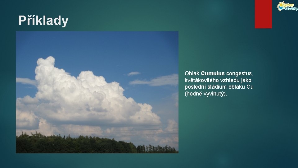 Příklady Oblak Cumulus congestus, květákovitého vzhledu jako poslední stádium oblaku Cu (hodně vyvinutý). 