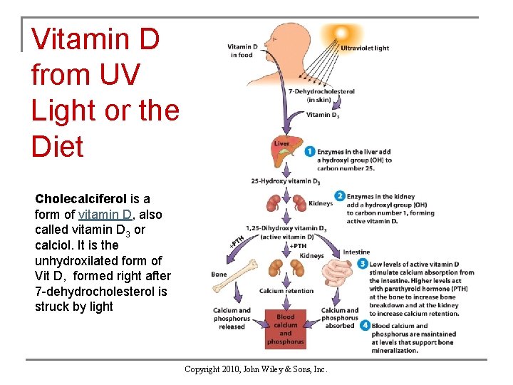 Vitamin D from UV Light or the Diet Cholecalciferol is a form of vitamin