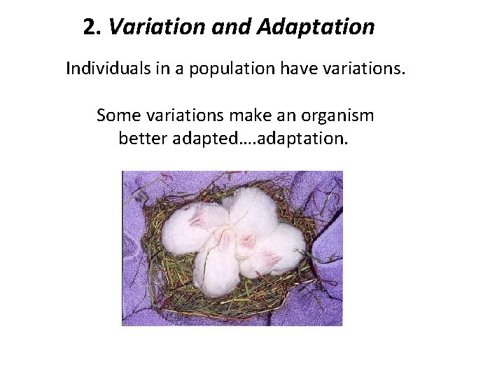 2. Variation and Adaptation Individuals in a population have variations. Some variations make an