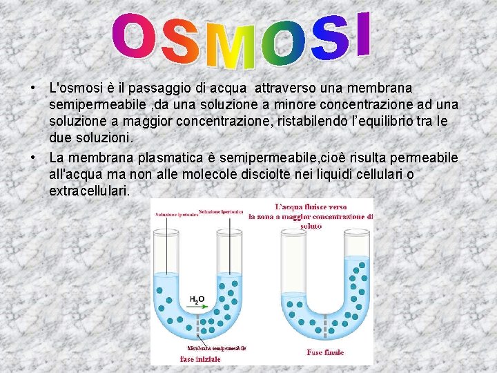  • L'osmosi è il passaggio di acqua attraverso una membrana semipermeabile , da