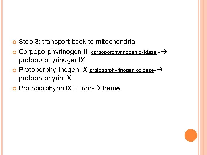 Step 3: transport back to mitochondria Corpoporphyrinogen III corpoporphyrinogen oxidase - protoporphyrinogen. IX Protoporphyrinogen