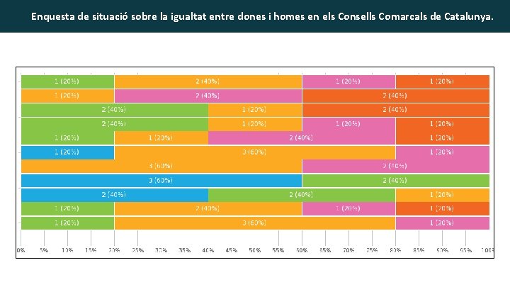 Enquesta de situació sobre la igualtat entre dones i homes en els Consells Comarcals