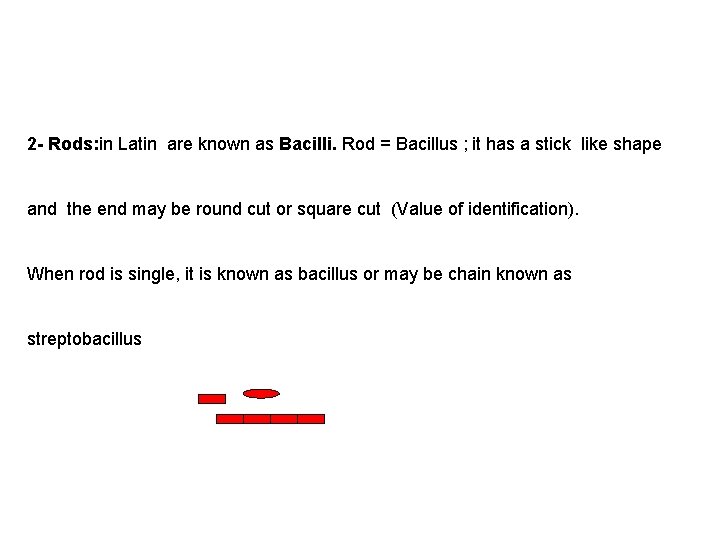 2 - Rods: in Latin are known as Bacilli. Rod = Bacillus ; it