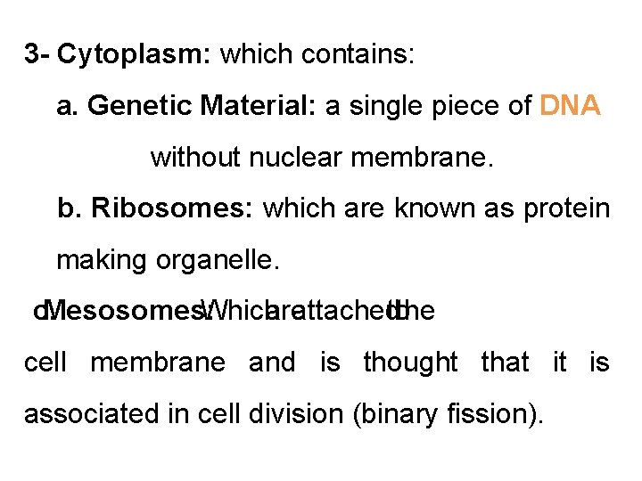 3 - Cytoplasm: which contains: a. Genetic Material: a single piece of DNA without