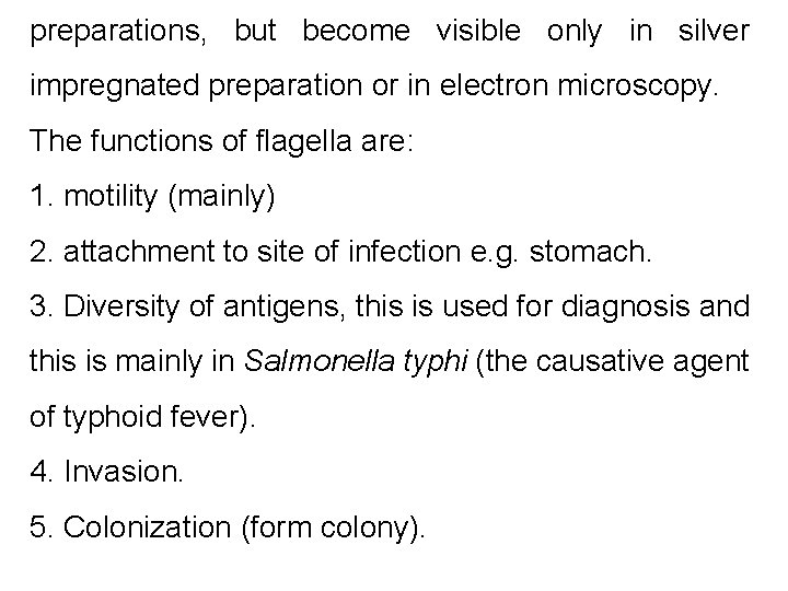 preparations, but become visible only in silver impregnated preparation or in electron microscopy. The