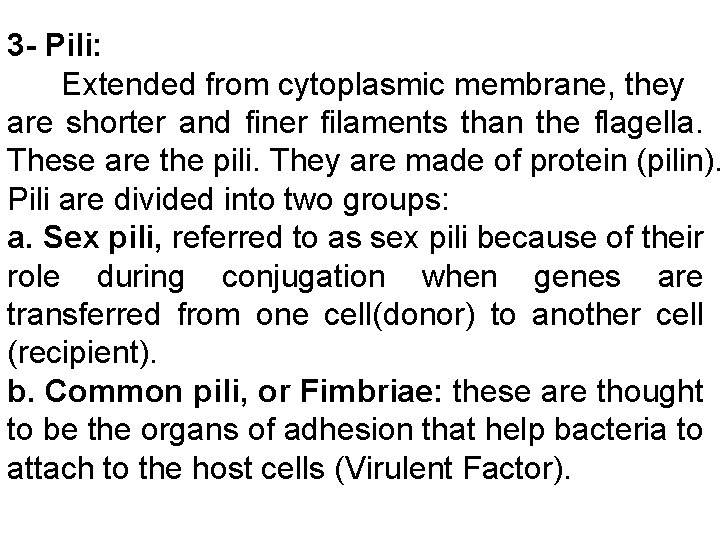 3 - Pili: Extended from cytoplasmic membrane, they are shorter and finer filaments than