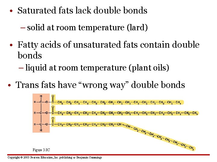  • Saturated fats lack double bonds – solid at room temperature (lard) •