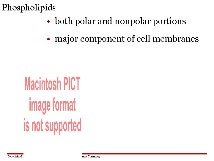 Phospholipids • both polar and nonpolar portions • major component of cell membranes Figure
