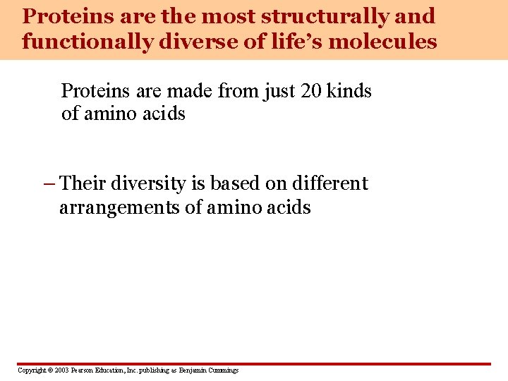 Proteins are the most structurally and functionally diverse of life’s molecules Proteins are made