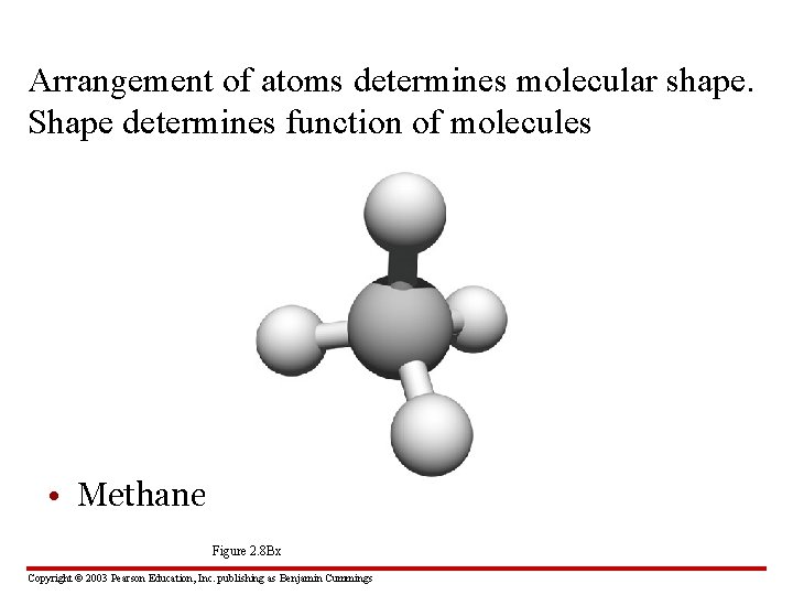 Arrangement of atoms determines molecular shape. Shape determines function of molecules • Methane, CH