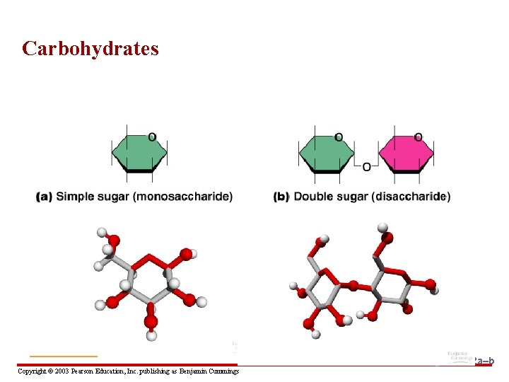 Carbohydrates PRESS TO PLAY DISACCHARIDES ANIMATION Copyright © 2003 Pearson Education, Inc. publishing as