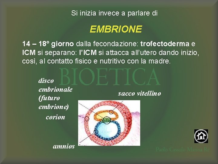 Si inizia invece a parlare di EMBRIONE 14 – 18° giorno dalla fecondazione: trofectoderma