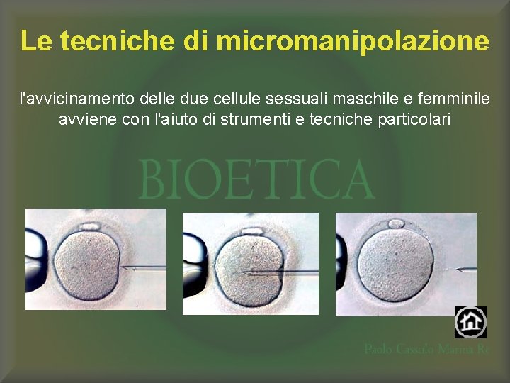 Le tecniche di micromanipolazione l'avvicinamento delle due cellule sessuali maschile e femminile avviene con