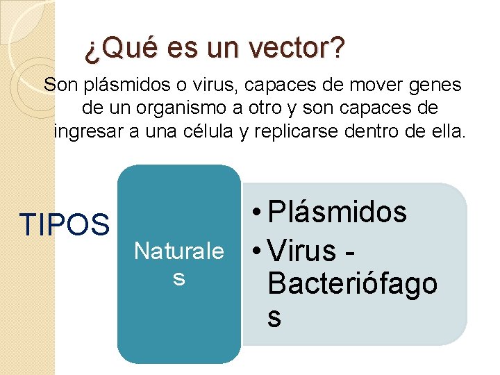 ¿Qué es un vector? Son plásmidos o virus, capaces de mover genes de un