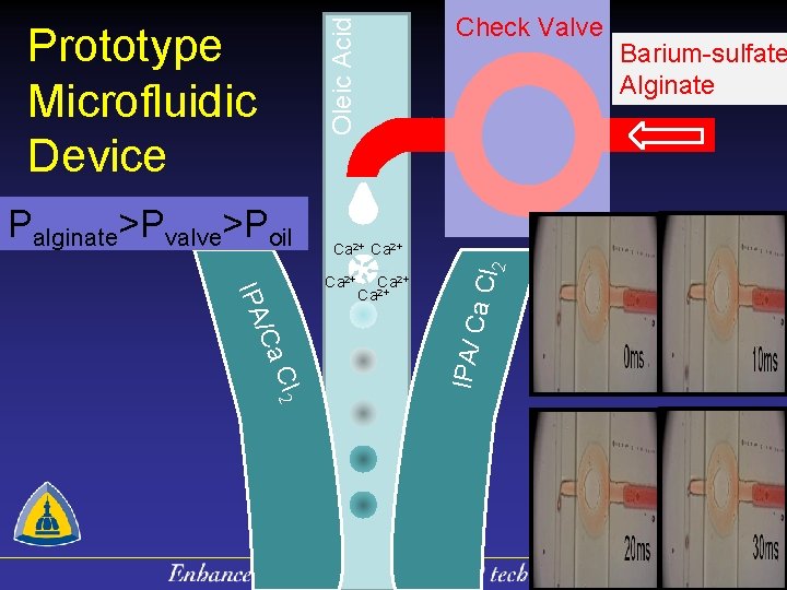 Oleic Acid Check Valve Prototype Microfluidic Device Ca 2+ Cl 2 IPA/ C /Ca