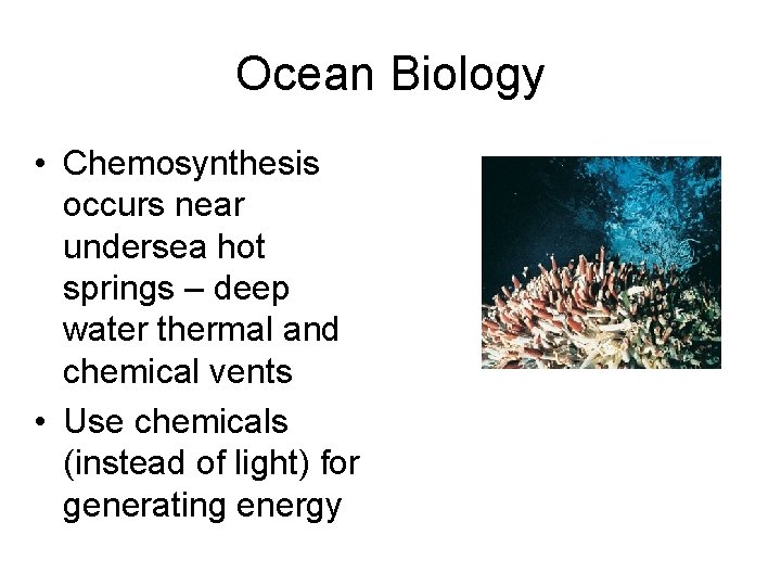 Ocean Biology • Chemosynthesis occurs near undersea hot springs – deep water thermal and
