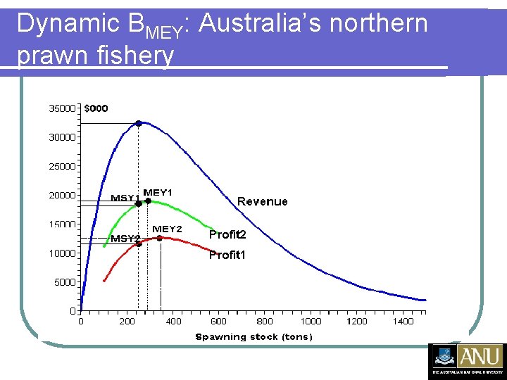 Dynamic BMEY: Australia’s northern prawn fishery 