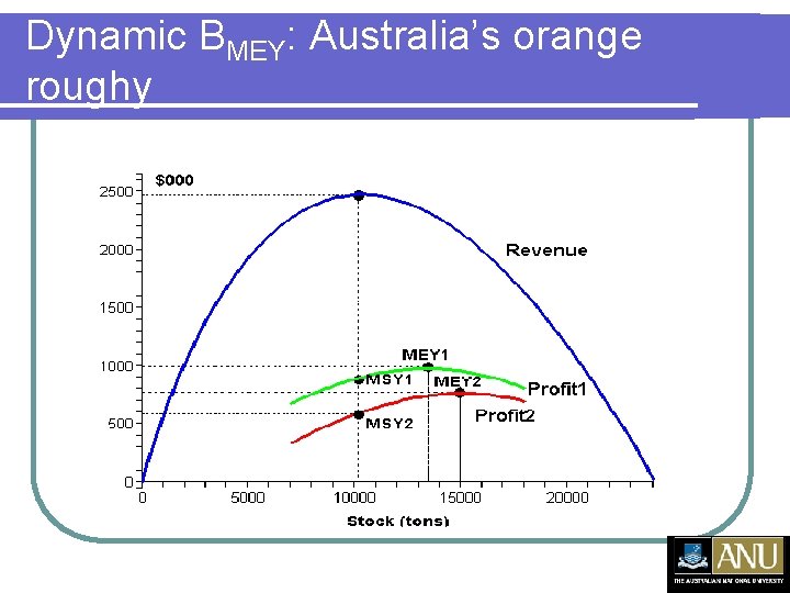 Dynamic BMEY: Australia’s orange roughy 