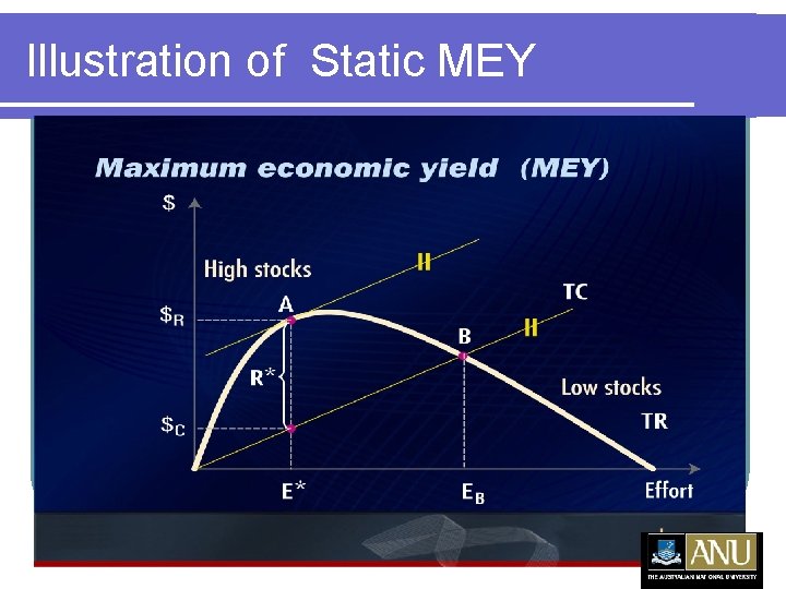 Illustration of Static MEY 