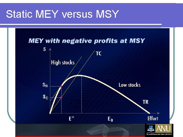 Static MEY versus MSY 