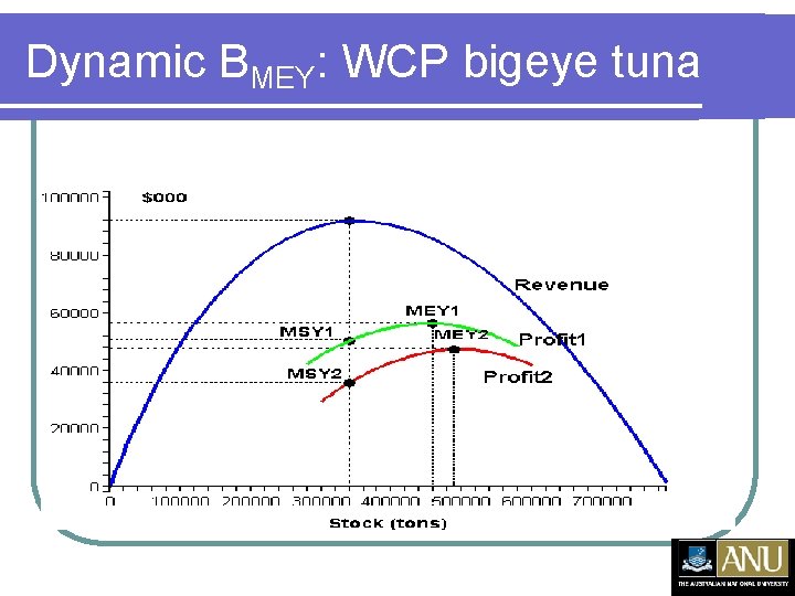 Dynamic BMEY: WCP bigeye tuna 