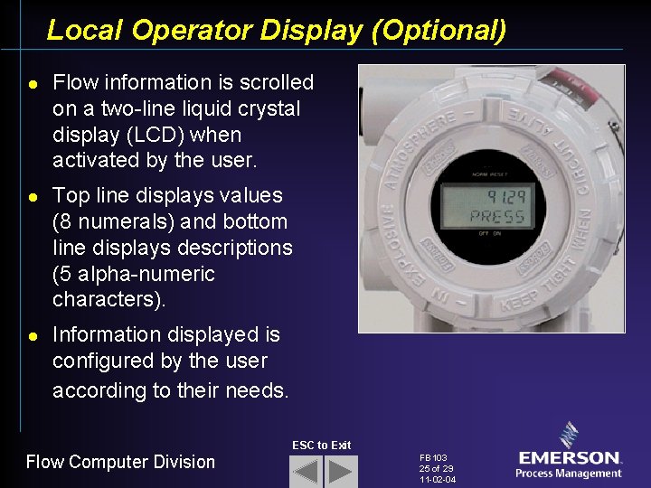 Local Operator Display (Optional) l l l Flow information is scrolled on a two-line