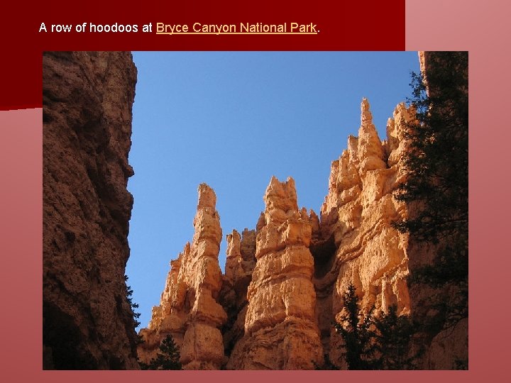 A row of hoodoos at Bryce Canyon National Park. 