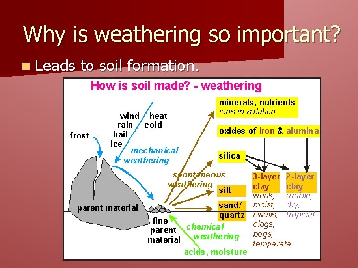 Why is weathering so important? n Leads to soil formation. 