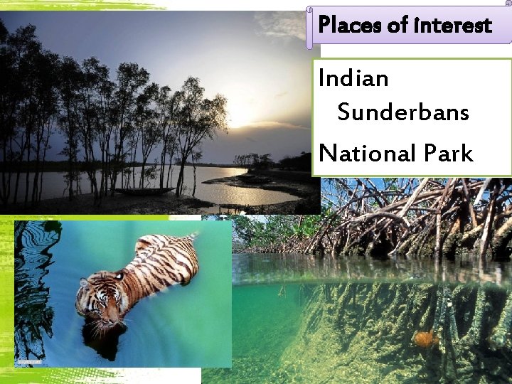 Places of interest Indian Sunderbans National Park 