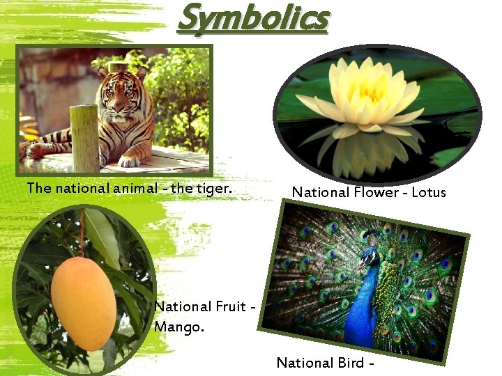Symbolics The national animal - the tiger. National Flower - Lotus National Fruit Mango.