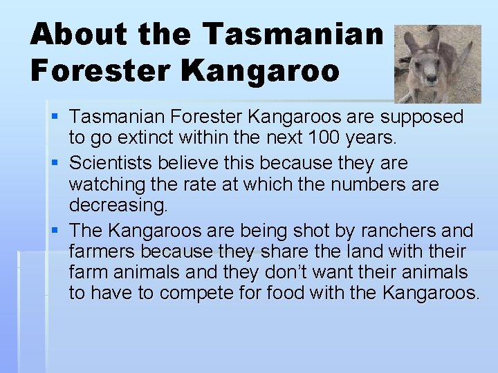 About the Tasmanian Forester Kangaroo § Tasmanian Forester Kangaroos are supposed to go extinct