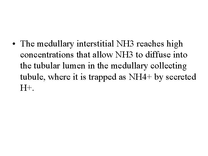  • The medullary interstitial NH 3 reaches high concentrations that allow NH 3