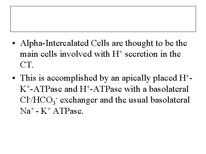  • Alpha-Intercalated Cells are thought to be the main cells involved with H+