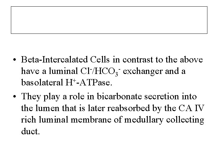  • Beta-Intercalated Cells in contrast to the above have a luminal Cl-/HCO 3