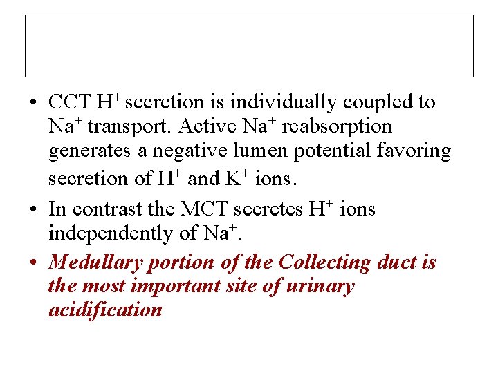  • CCT H+ secretion is individually coupled to Na+ transport. Active Na+ reabsorption
