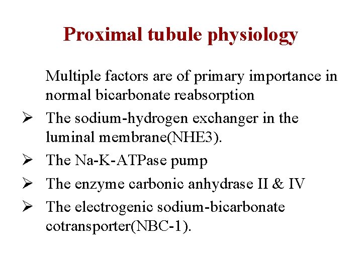 Proximal tubule physiology Ø Ø Multiple factors are of primary importance in normal bicarbonate