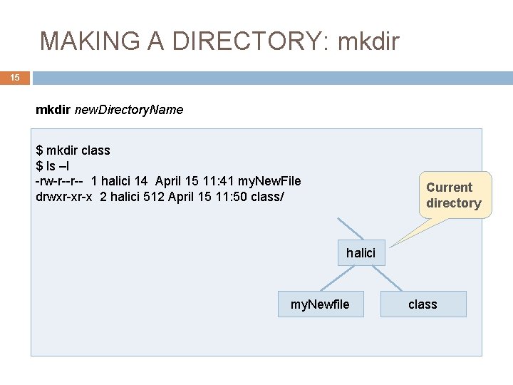 MAKING A DIRECTORY: mkdir 15 mkdir new. Directory. Name $ mkdir class $ ls