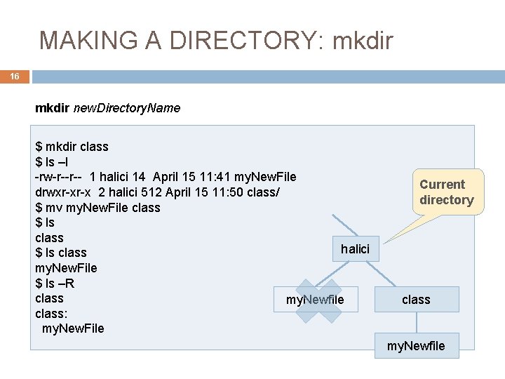 MAKING A DIRECTORY: mkdir 16 mkdir new. Directory. Name $ mkdir class $ ls