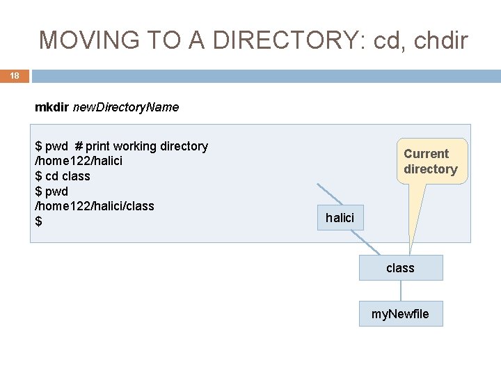 MOVING TO A DIRECTORY: cd, chdir 18 mkdir new. Directory. Name $ pwd #