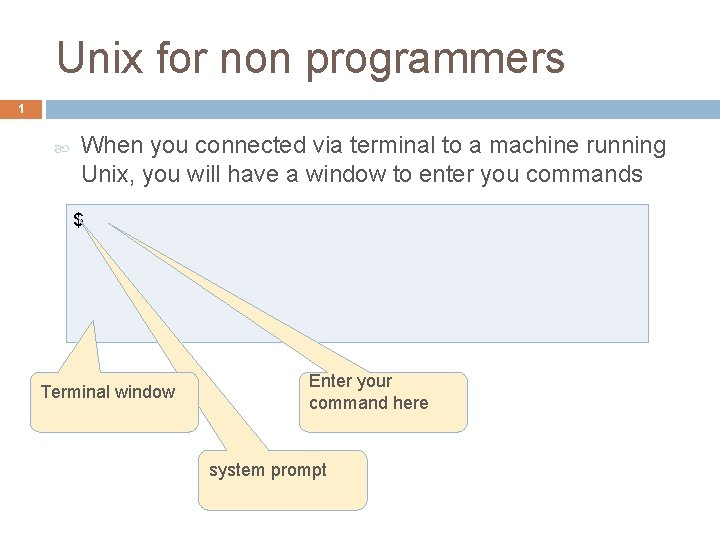 Unix for non programmers 1 When you connected via terminal to a machine running
