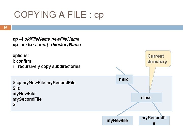 COPYING A FILE : cp 19 cp –i old. File. Name new. File. Name