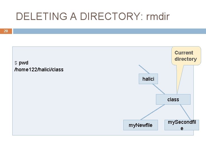 DELETING A DIRECTORY: rmdir 20 Current directory $ pwd /home 122/halici/class halici class my.