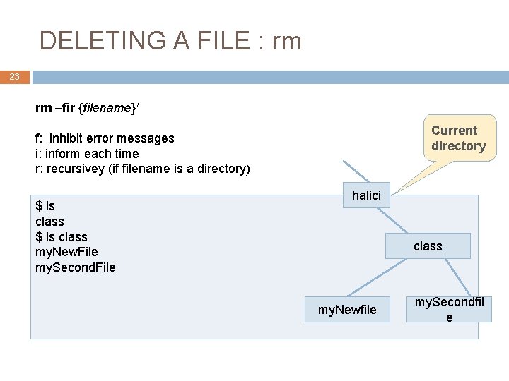 DELETING A FILE : rm 23 rm –fir {filename}* Current directory f: inhibit error