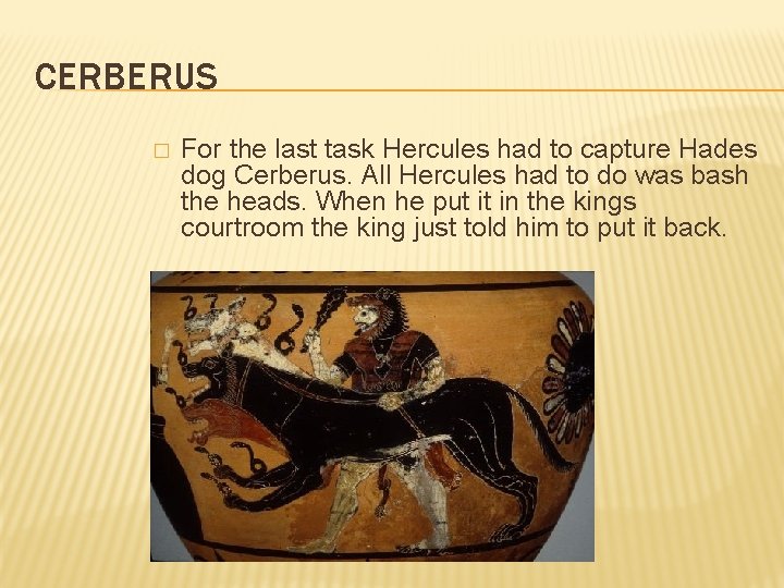 CERBERUS � For the last task Hercules had to capture Hades dog Cerberus. All