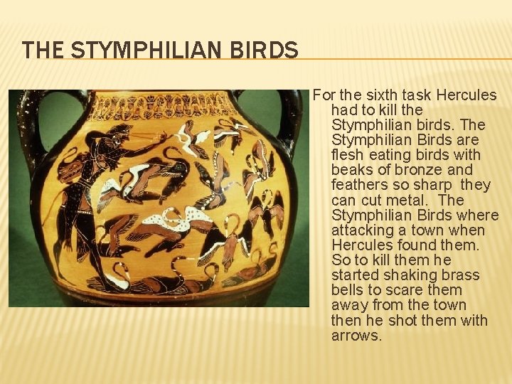 THE STYMPHILIAN BIRDS For the sixth task Hercules had to kill the Stymphilian birds.