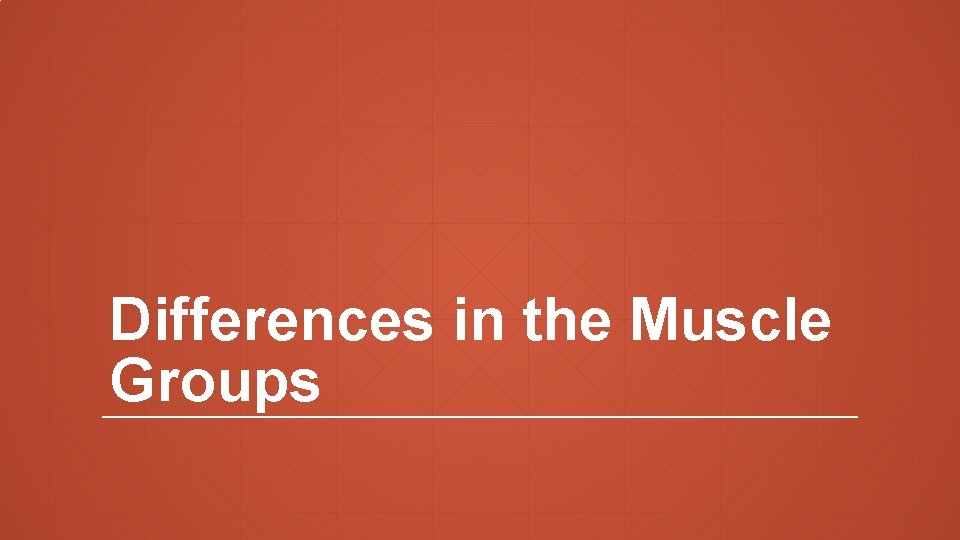 Differences in the Muscle Groups 