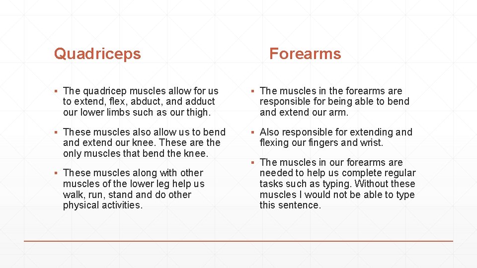 Quadriceps Forearms ▪ The quadricep muscles allow for us to extend, flex, abduct, and