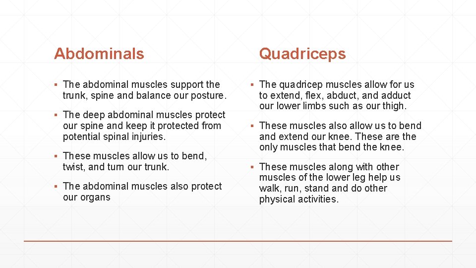 Abdominals ▪ The abdominal muscles support the trunk, spine and balance our posture. ▪