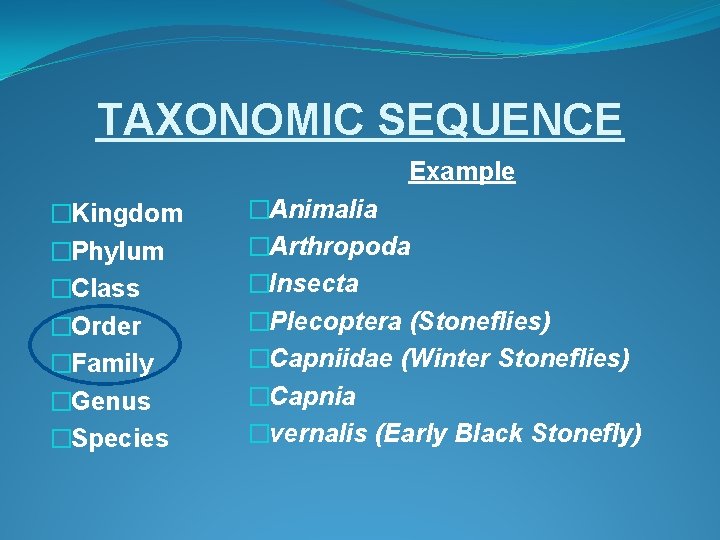 TAXONOMIC SEQUENCE Example �Kingdom �Phylum �Class �Order �Family �Genus �Species �Animalia �Arthropoda �Insecta �Plecoptera